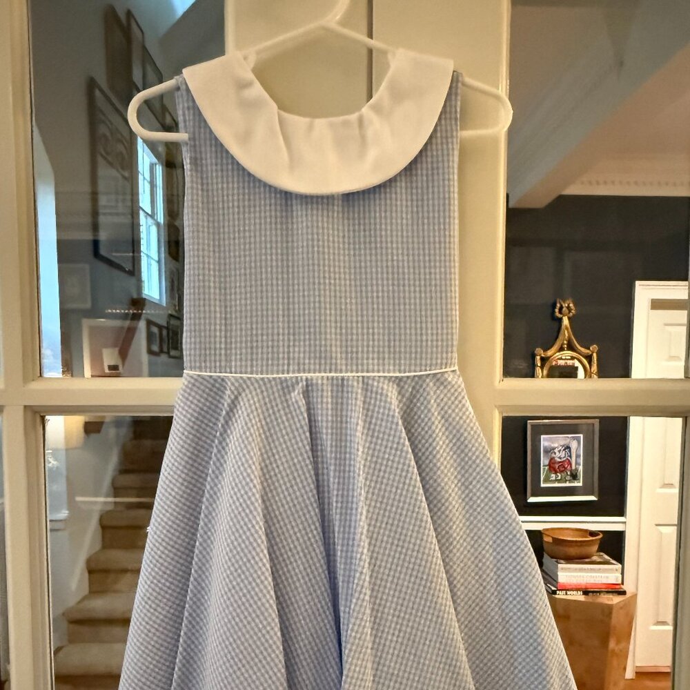 Collared blue gingham dress NWT Sz 4T